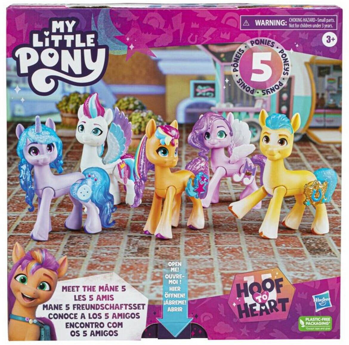 Sammelfiguren Hasbro My Little Pony Meet the Mane (F3327)